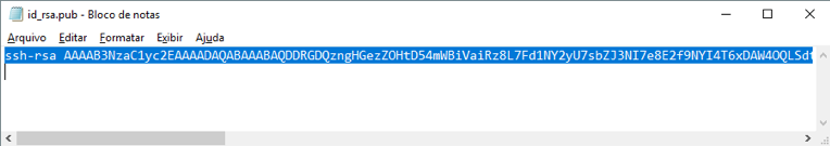 notepad id rsa.pub